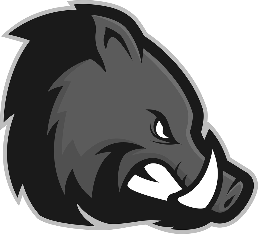 Dzik logo